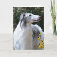 Tarjeta fotográfica de arte de perro lobo ruso de 
