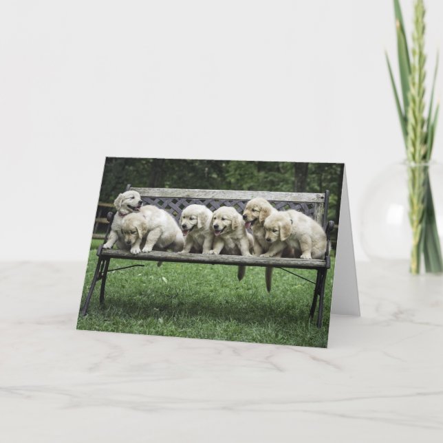 Tarjeta fotográfica de banco de media docena de Ho (Anverso)