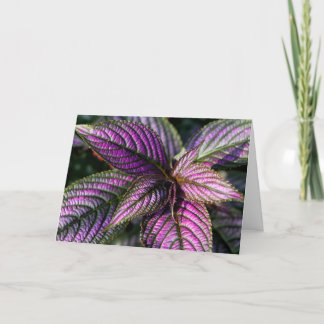 Tarjeta fotográfica de bendición de cumpleaños