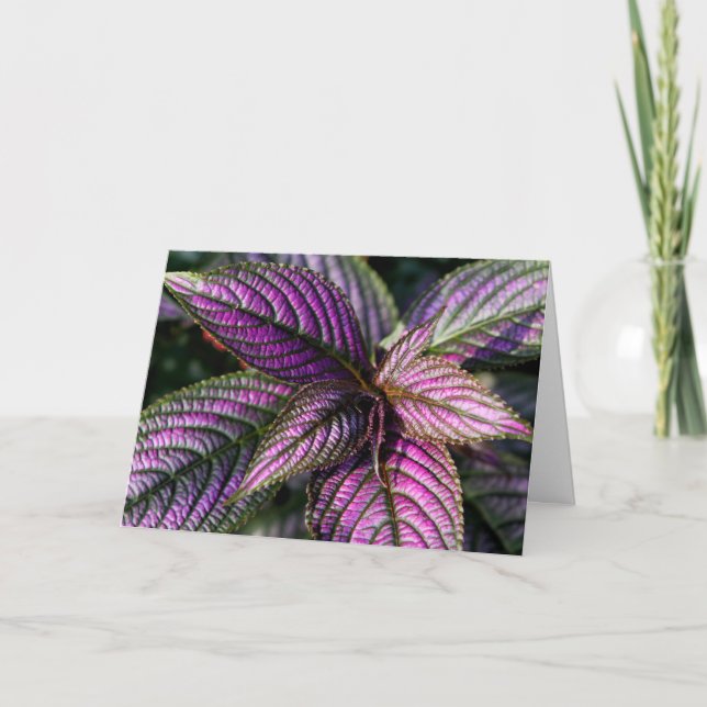 Tarjeta fotográfica de bendición de cumpleaños (Anverso)