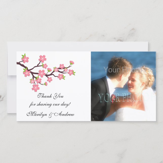 Tarjeta fotográfica de cerezo rosa (Anverso)