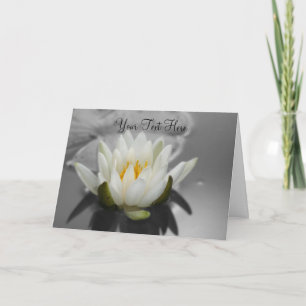 Tarjeta fotográfica de color parcial de flor blanc