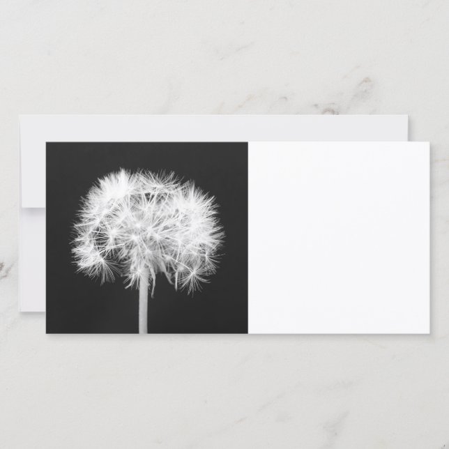 Tarjeta fotográfica de Dandelion (Anverso)