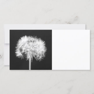 Tarjeta fotográfica de Dandelion