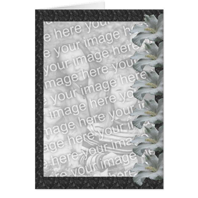 Tarjeta fotográfica de diseño floral de Hibiscus b (Frente)