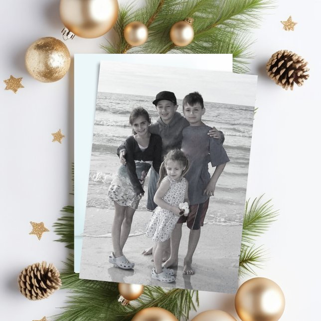 Tarjeta fotográfica de doble cara del cardenal roj (Christmas Season's Greetings red cardinal photo card.)