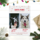 Tarjeta fotográfica de dos perros Rosas Relieve me<br><div class="desc">Cuidadas y graciosas tarjetas de vacaciones mascota! "¡Santa Paws está llegando a la ciudad",  dos tarjetas de fotos navideñas de perro con marcas de verificación traviesas o lindas y verdaderos acentos de Relieve metalizado!</div>