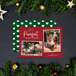 Tarjeta fotográfica de festividad de gato rojo y v