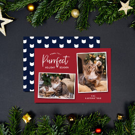 Tarjeta fotográfica de festividad para gato rojo y
