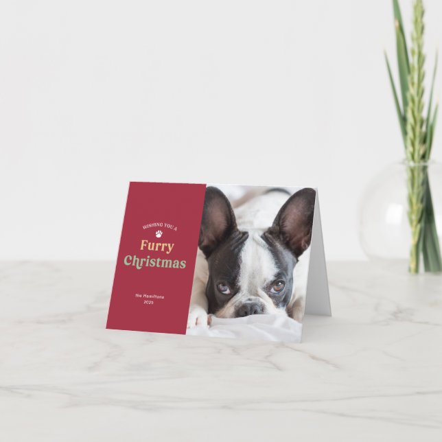 Tarjeta fotográfica de festividad para perros rojo (Anverso)