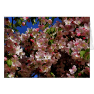 Tarjeta fotográfica de flor de flores de primavera