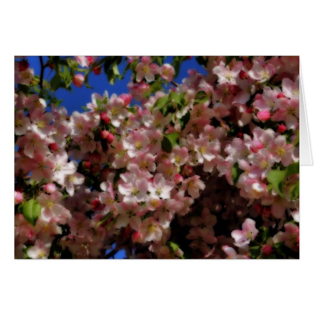 Tarjeta fotográfica de flor de flores de primavera (Anverso (Horizontal))