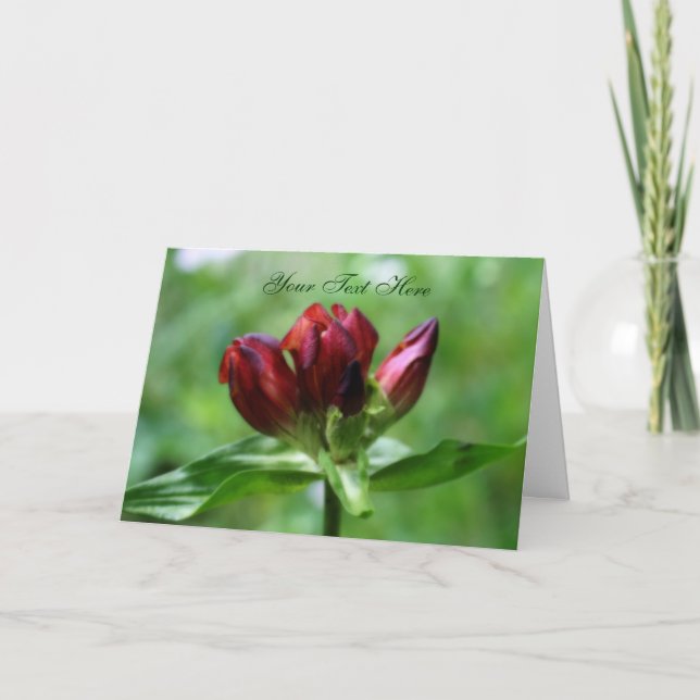 Tarjeta fotográfica de flor gentiana roja (Anverso)