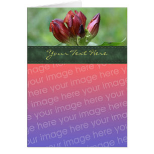 Tarjeta fotográfica de flor gentiana roja
