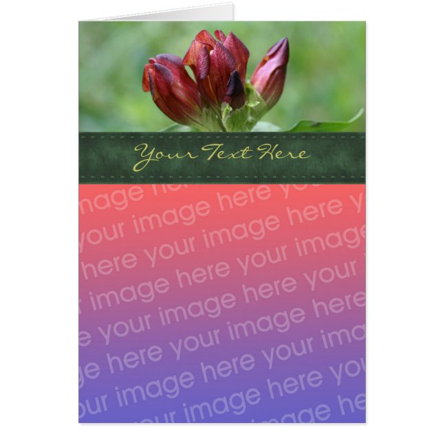 Tarjeta fotográfica de flor gentiana roja (Frente)
