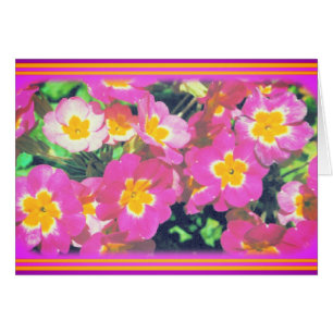 Tarjeta fotográfica de flor rosa