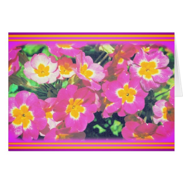Tarjeta fotográfica de flor rosa (Anverso (Horizontal))