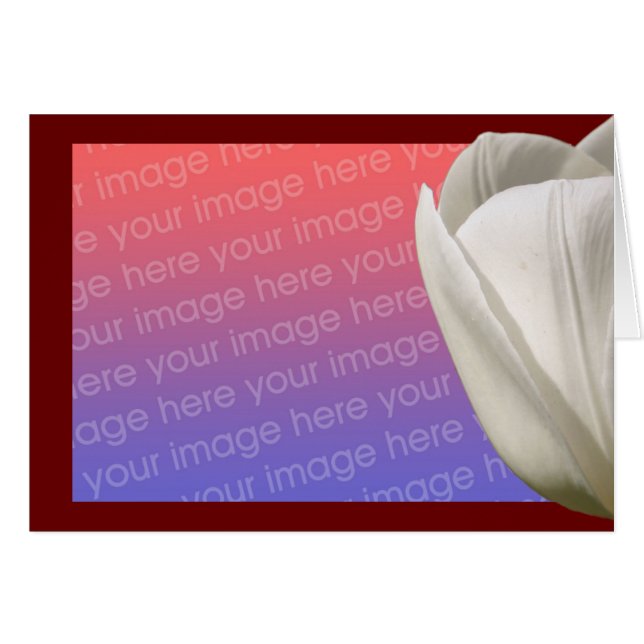 Tarjeta fotográfica de flor tulipán blanco (Anverso (Horizontal))