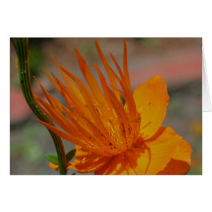 Tarjeta fotográfica de flores amarillas naranja