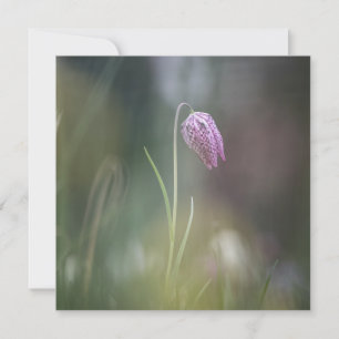 Tarjeta fotográfica de flores de ajedrez