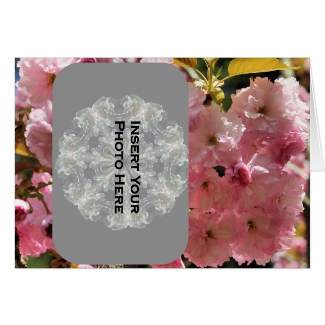 Tarjeta fotográfica de flores de primavera rosada (Anverso (Horizontal))