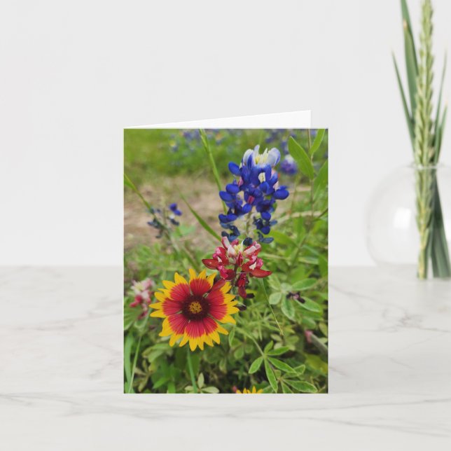 Tarjeta fotográfica de flores silvestres de Texas (Anverso)