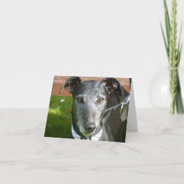 Tarjeta fotográfica de galgo (p4)
