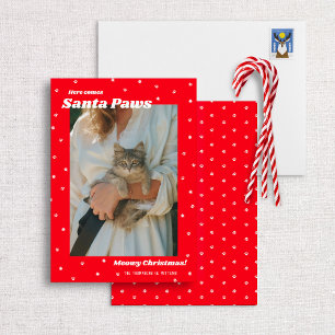 Tarjeta fotográfica de gato navideño para Navidade