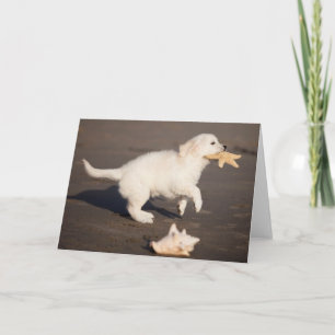 Tarjeta fotográfica de Golden Retriever Puppy