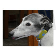 Tarjeta fotográfica de Greyhound