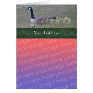 Tarjeta fotográfica de la familia ganosa de Canadá