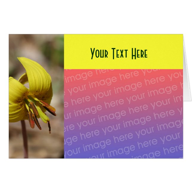 Tarjeta fotográfica de la flor de Lily de la Truch (Anverso (Horizontal))