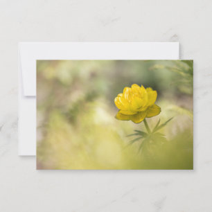 Tarjeta fotográfica de la naturaleza de las flores
