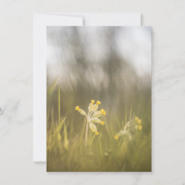 Tarjeta fotográfica de la naturaleza de las flores