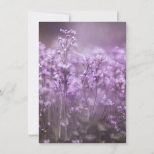 Tarjeta fotográfica de la naturaleza de las flores
