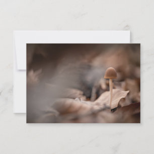Tarjeta fotográfica de la naturaleza de los hongos