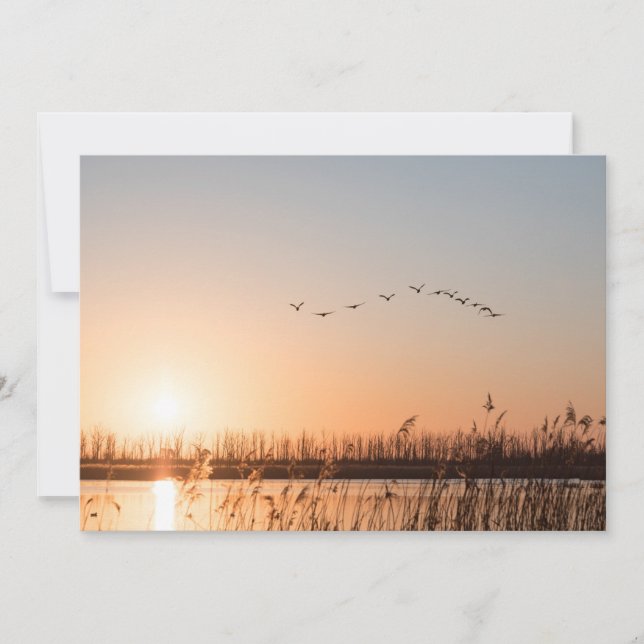 Tarjeta fotográfica de la naturaleza del amanecer (Anverso)