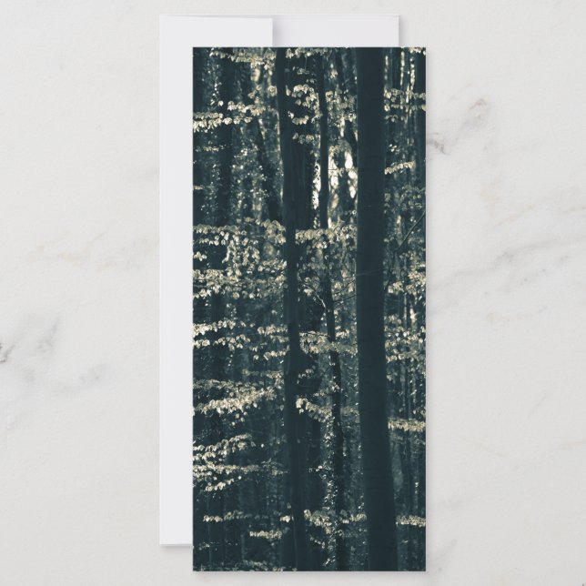 Tarjeta fotográfica de la naturaleza del bosque de (Anverso)