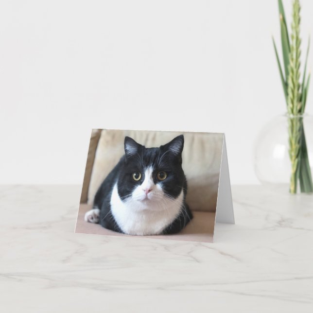 Tarjeta fotográfica de Manchester (Anverso)