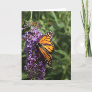 Tarjeta fotográfica de mariposa