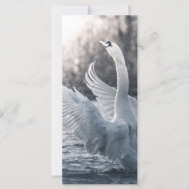 Tarjeta fotográfica de naturaleza cisne blanca (Anverso)