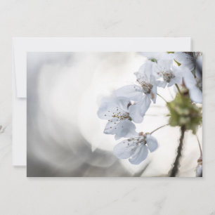 Tarjeta fotográfica de naturaleza con flores de ce