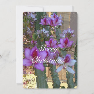 Tarjeta fotográfica de Navidad 5X7