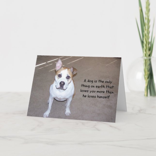 Tarjeta fotográfica de perro (Anverso)