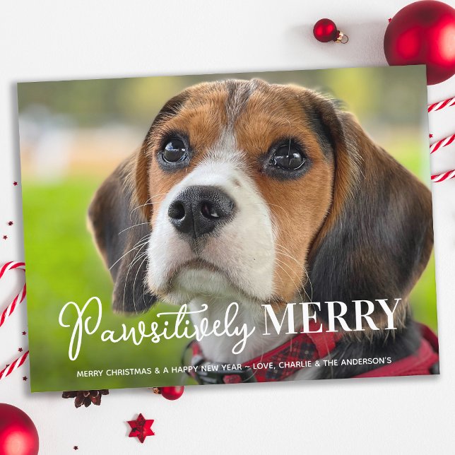 Tarjeta fotográfica de perro Mascota de Personaliz (Subido por el creador)