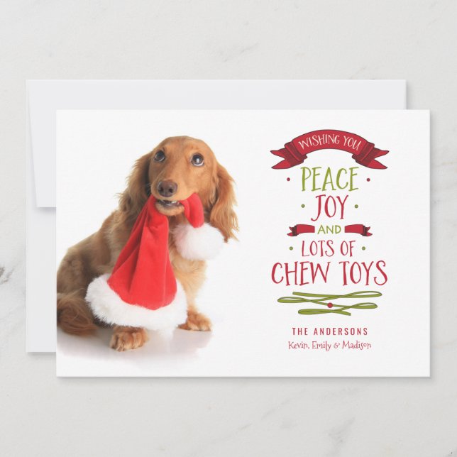 Tarjeta fotográfica de perro Mascota de vacaciones (Anverso)