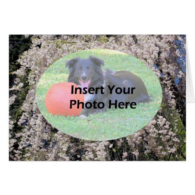 Tarjeta fotográfica de primavera en cascada de flo (Anverso (Horizontal))