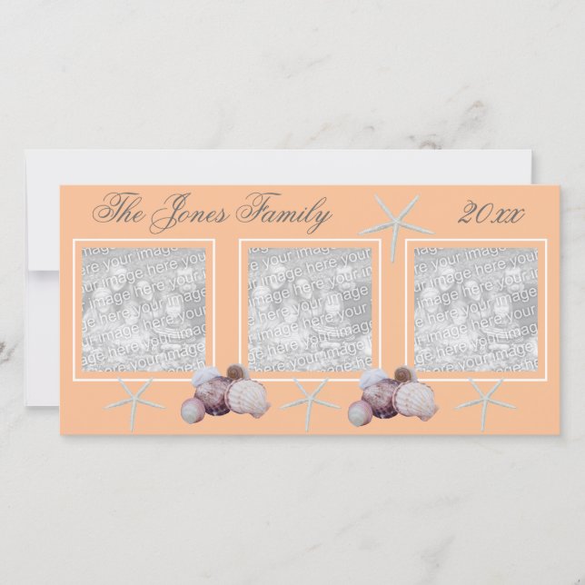 Tarjeta fotográfica de Shell de mar (Anverso)