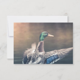 Tarjeta fotográfica Duck Nature