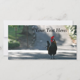 Tarjeta fotográfica en blanco, gallo